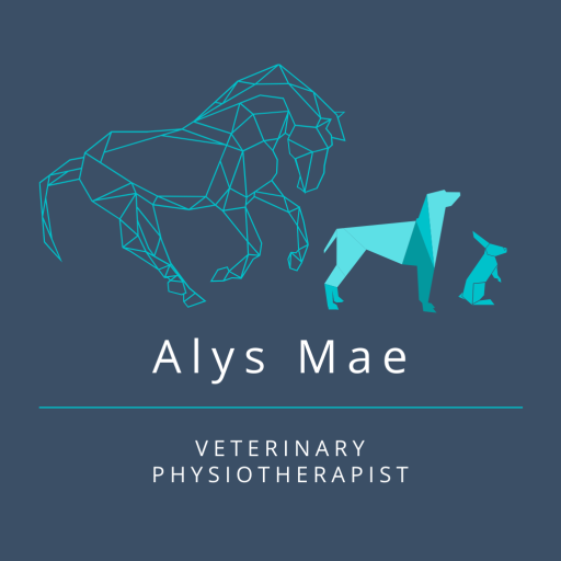 Alys Mae Veterinary Physiotherapy